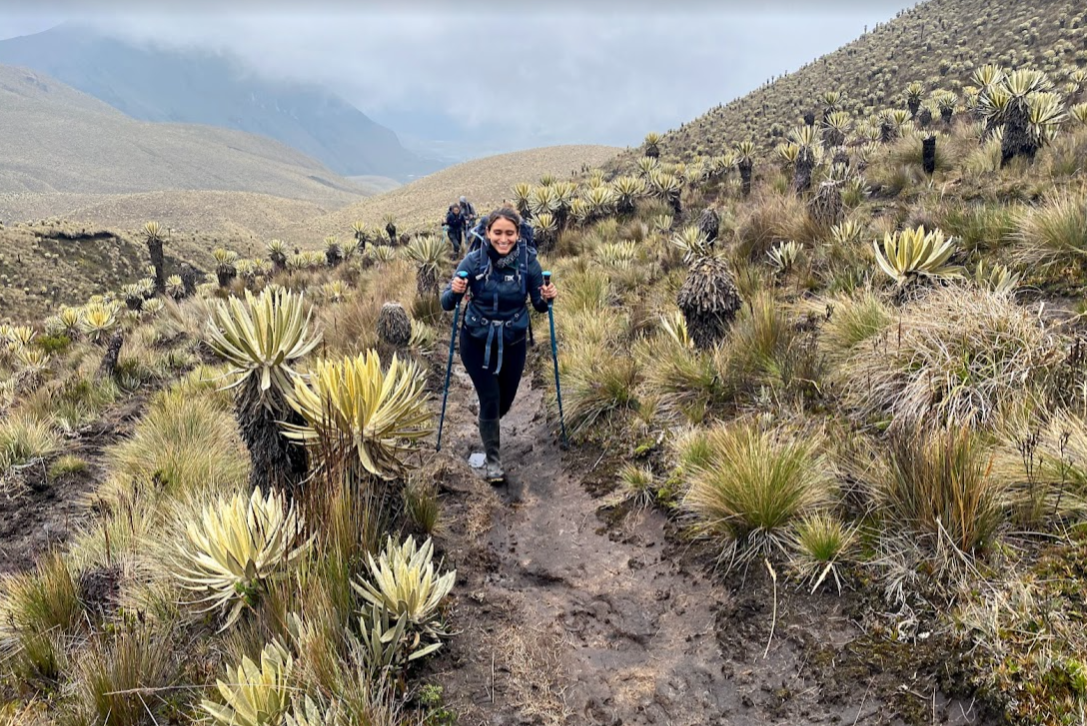 Explore the high-altitude wetlands of the páramo, a remarkable landscape known for its beauty and unique ecosystems.
